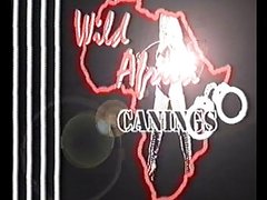 Wild Africa Canings:  Female Prison Punishment
